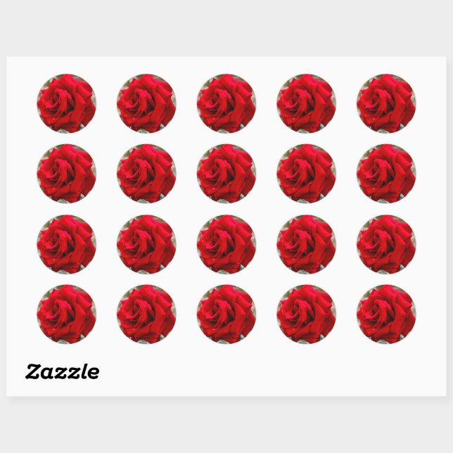 Sticker Rond Rosa Schwartze Madonna [Round Seal] (Feuille)