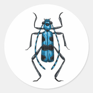 Sticker Rond Rosalia Alpina