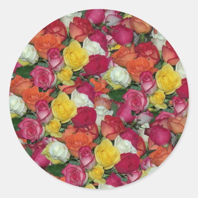 Sticker Rond rose (Devant)