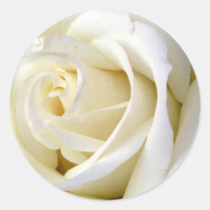 Sticker Rond Rose blanc