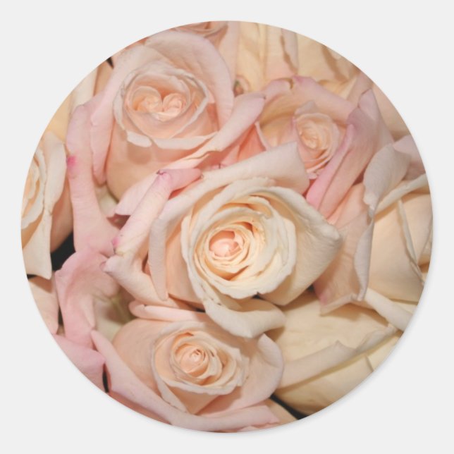 Sticker Rond rose blanche et rose (Devant)