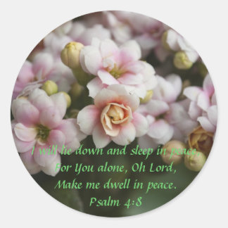 Sticker Rond Rose Cactus