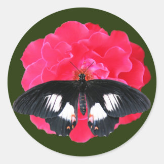 Sticker Rond Rose et Swallowtail