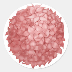 Sticker rond rose Hydrangea Stikers