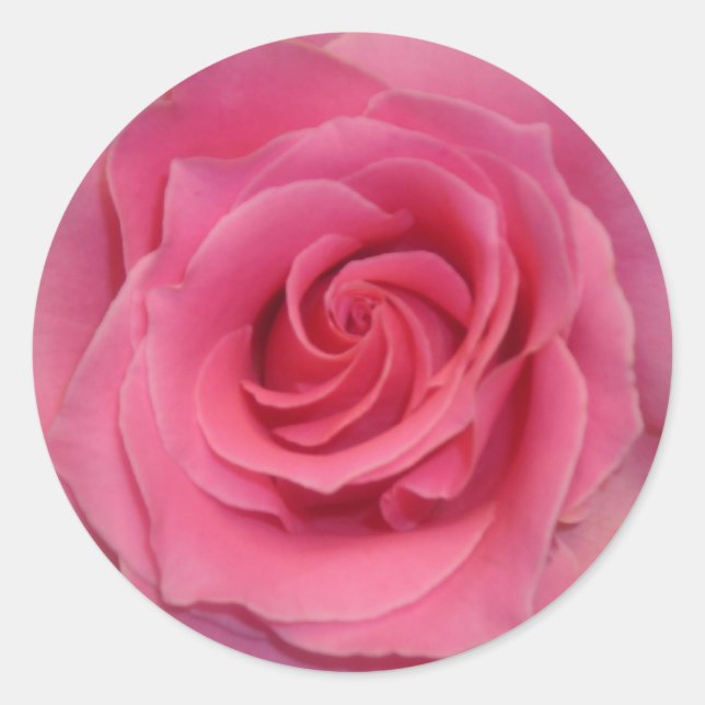 Sticker Rond Rose parfaite (Devant)