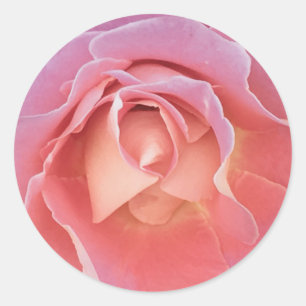 Sticker Rond Rose rose lustre
