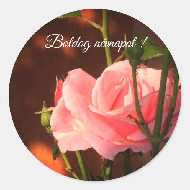 Sticker Rond Rose rose photo - Hongrois nom jour (Devant)