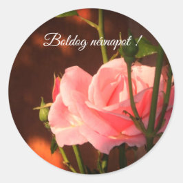 Sticker Rond Rose rose photo - Hongrois nom jour