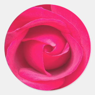 Sticker Rond Rose rose romantique rouge