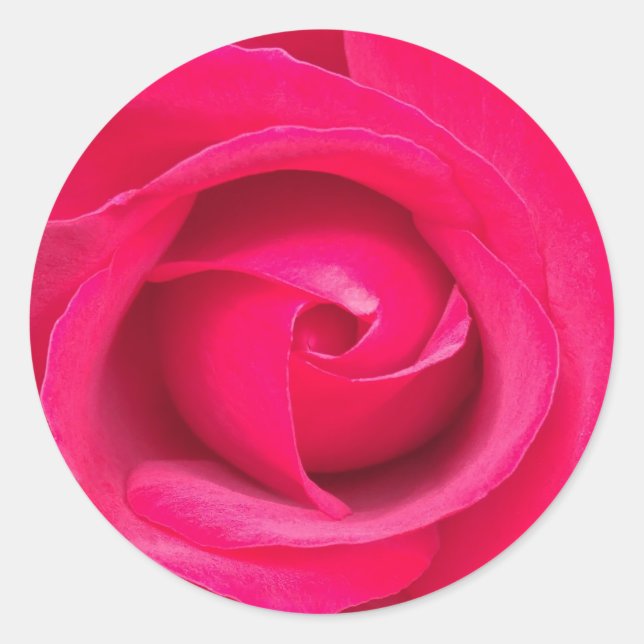 Sticker Rond Rose rouge romantique (Devant)