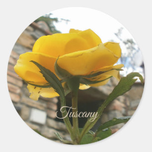 Sticker Rond Rose toscan jaune.