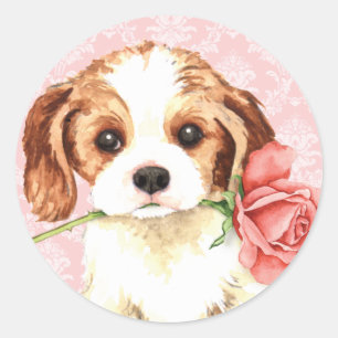 Sticker Rond Rose Valentine Cavalier