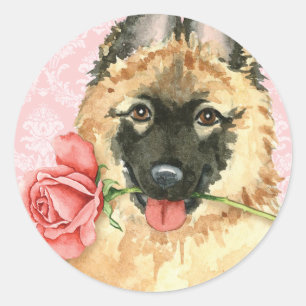 Sticker Rond Rose Valentine Tervuren
