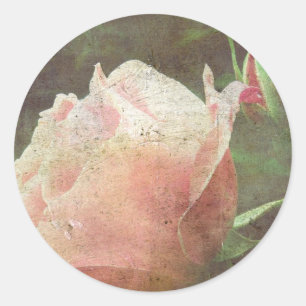 Sticker Rond Rose vintage