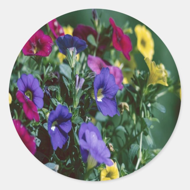 Sticker Rond roses are smart (Devant)