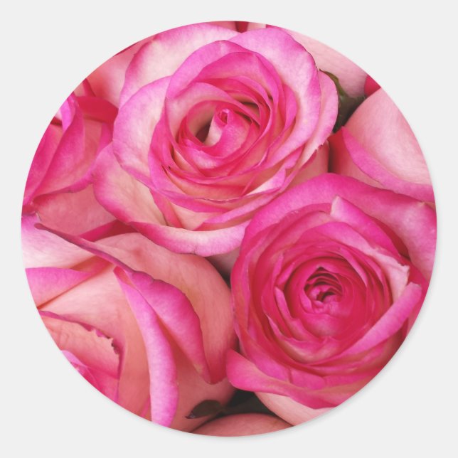 Sticker Rond Roses de feu et de glace (Devant)