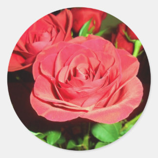 Sticker Rond Roses rouges