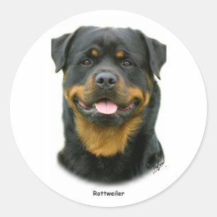 Sticker Rond Rottweiler