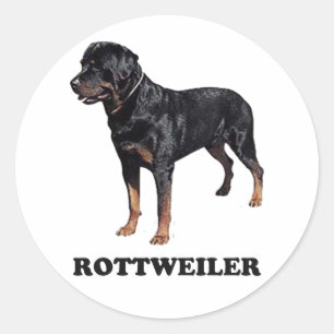 Sticker Rond Rottweiler