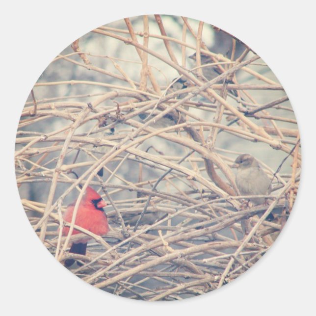 Sticker Rond Rouge dans un hiver triste par angelandspot. (Devant)