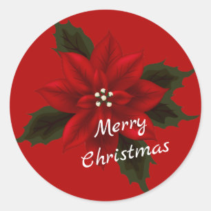 Sticker Rond Rouge Poinsettia rouge Noël