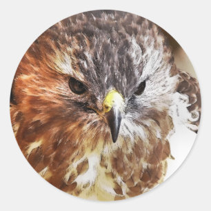 STICKER ROND ROUGE TAILLÉ HAWK