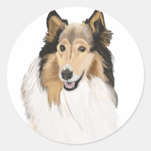 Sticker Rond Rough Collie, Long Haired Collie Portrait