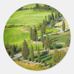 Sticker Rond Route d'enroulement de Cypress dans l'autocollant