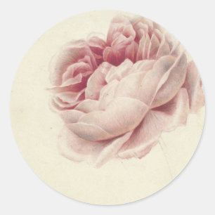 Sticker Rond Roze Roos (1792) – Éternel Art Botanique Ancien