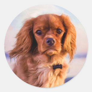 Sticker Rond Ruby Cavalier King Charles Spaniel