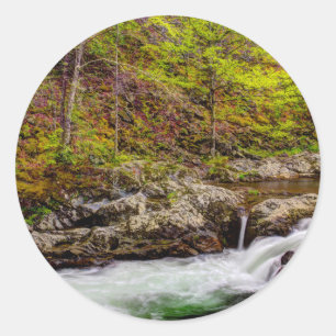Sticker Rond Ruisseau forestier dans les Great Smoky Mountains