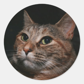 Sticker Rond Rusty