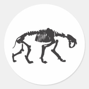 Sticker Rond sabertooth