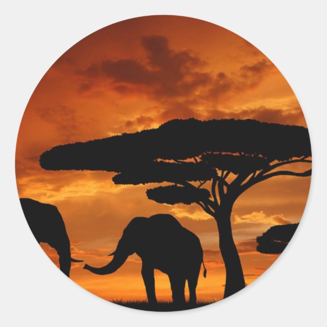 Sticker Rond Safari Baobab africain silhouette d'éléphant (Devant)
