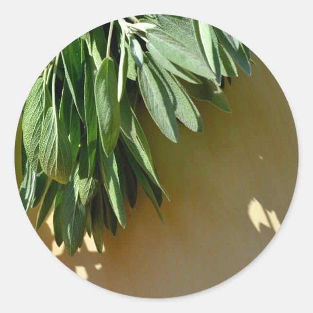 Sticker Rond Sage frais coupé (Devant)