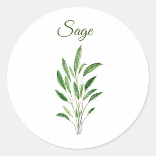 Sticker Rond Sage Herbes Aquarelle Cuisine Vert Rustique
