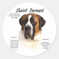 Saint Bernard (lisse) Histoire Design