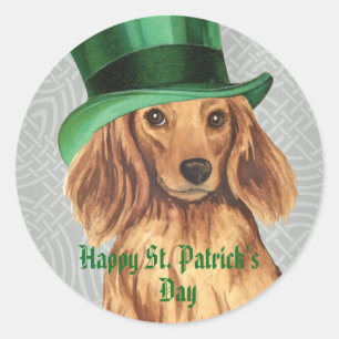 Sticker Rond Saint Patrick's Day LonghEI Dachshund