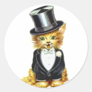 Sticker Rond Salle de chat