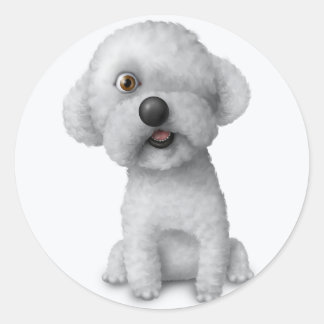 Sticker Rond Salomon - Carton 2