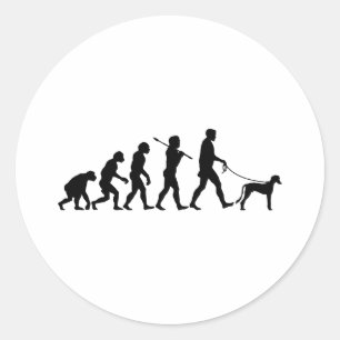 Sticker Rond Saluki