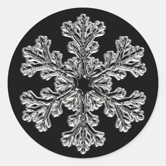 Sticker Rond Salutation Silver Snowflake (Devant)