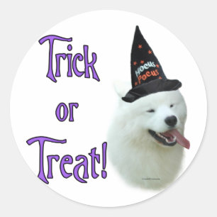 Sticker Rond Samoyed Trick