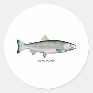 Sticker Rond Saumon argenté (phase océanique)