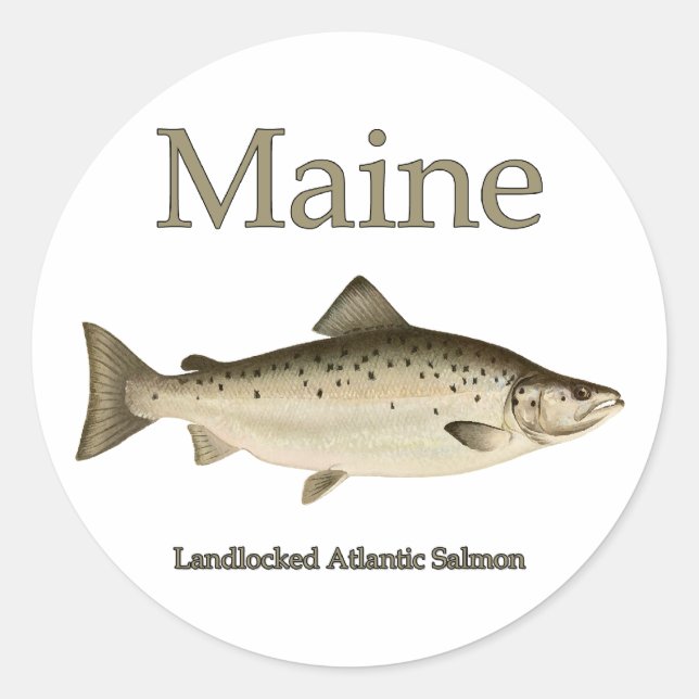 Sticker Rond Saumon sans accès au Maine (Devant)