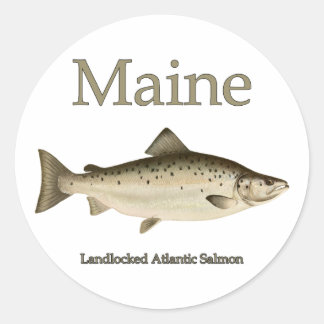 Sticker Rond Saumon sans accès au Maine