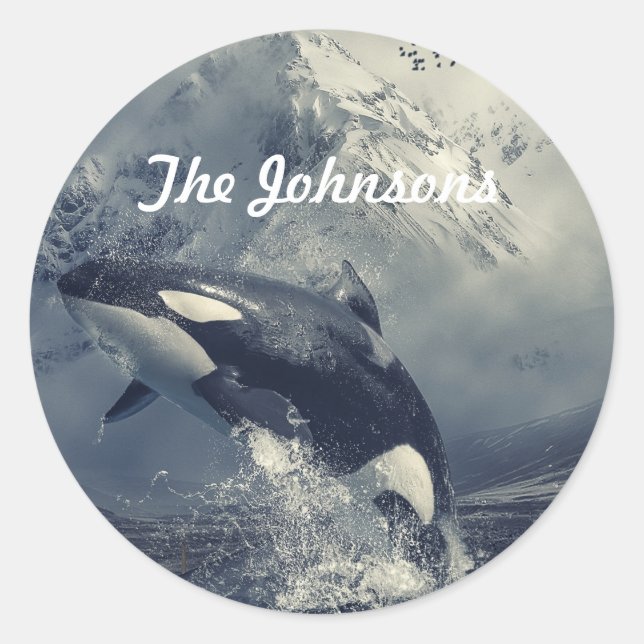 Sticker Rond Sauts de baleines tueuses sauvages (Devant)