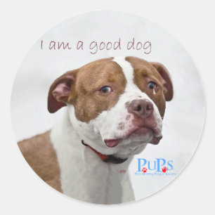 Sticker Rond Sauvetage des bons chiens Pit Bull