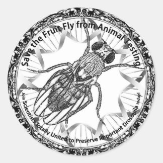 Sticker Rond Sauvez la mouche aux fruits