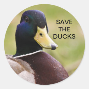 Sticker Rond Sauvez l'autocollant de canards